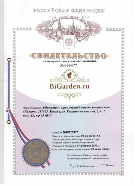 Кресло подвесное "Easy BS" зеленая подушка Кресло подвесное "Easy BS" зеленая подушка